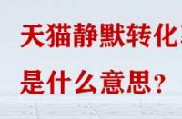 天貓靜默轉(zhuǎn)化率是什么意思？
