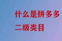 什么是拼多多二級類目？