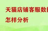 天貓店鋪客服數(shù)據(jù)怎樣分析？