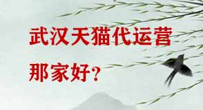 武漢天貓代運(yùn)營(yíng)那家好
