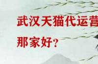 武漢天貓代運營那家好？