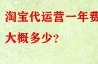 淘寶代運(yùn)營(yíng)一年費(fèi)用大概多少？