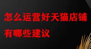 怎么運(yùn)營(yíng)好天貓店鋪