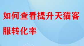 天貓代運(yùn)營(yíng)