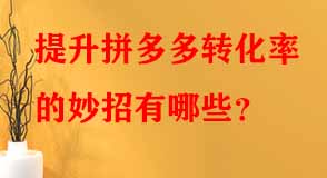 拼多多代運(yùn)營