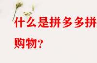 什么是拼多多拼單購物？