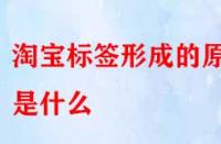 怎樣得到精準(zhǔn)流量？淘寶標(biāo)簽形成的原因是什么？