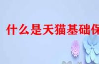 什么是天貓基礎保障？它的作用是什么？
