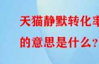 天貓靜默轉(zhuǎn)化率的意思是什么？