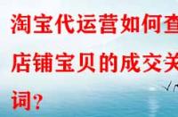 淘寶代運(yùn)營如何查看店鋪寶貝的成交關(guān)鍵詞？