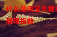 什么是淘寶關(guān)鍵詞展現(xiàn)指數(shù)？它的作用是什么？