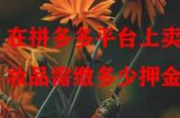 在拼多多平臺上賣化妝品需繳多少押金？