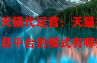 天貓代運(yùn)營：天貓交易平臺(tái)的模式有哪些？