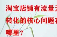 淘寶店鋪有流量無(wú)轉(zhuǎn)化的核心問(wèn)題在哪里？