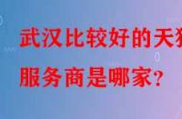 武漢比較好的天貓服務(wù)商是哪家？