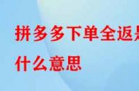 拼多多下單全返是什么意思？具體是如何操作的？
