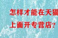 怎樣才能在天貓上面開專營店？