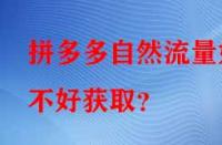 拼多多自然流量好不好獲??？