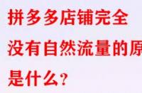 拼多多店鋪完全沒有自然流量的原因是什么？