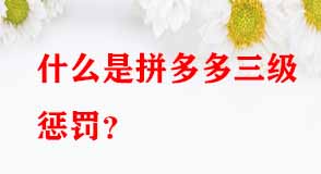 拼多多代運(yùn)營