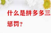 什么是拼多多三級懲罰？