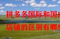 拼多多國際和國內店鋪的區(qū)別有哪些？