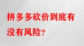 拼多多代運(yùn)營(yíng)