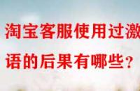 淘寶客服使用過激言語的后果有哪些？