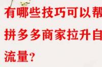 有哪些技巧可以幫助拼多多商家拉升自然流量？