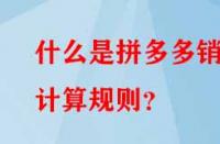 什么是拼多多銷(xiāo)量計(jì)算規(guī)則？