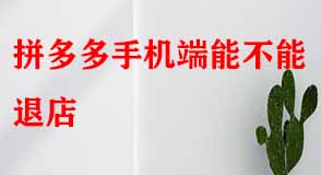 拼多多代運(yùn)營(yíng)