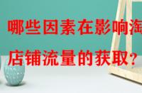 哪些因素在影響淘寶店鋪流量的獲?。?> 
								</a>
								<a class=
