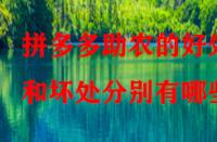 拼多多助農(nóng)的好處和壞處分別有哪些？