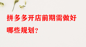 拼多多代運(yùn)營(yíng)