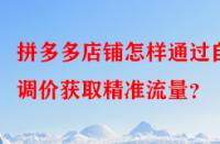 拼多多店鋪怎樣通過自動調(diào)價獲取精準(zhǔn)流量？
