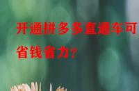 開通拼多多直通車可更省錢省力？