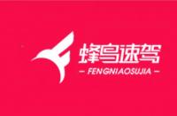 電商好拍檔：攜手“蜂鳥速駕”，輕松打造“明星”網(wǎng)店